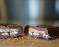 Smore's Stuffed Chocolate Bar